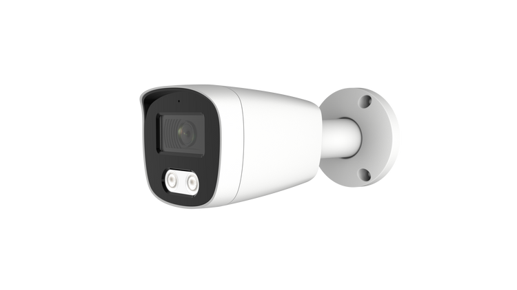 L-Series Cameras - Nelly's Security