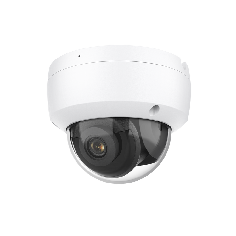 L-Series Cameras - Nelly's Security