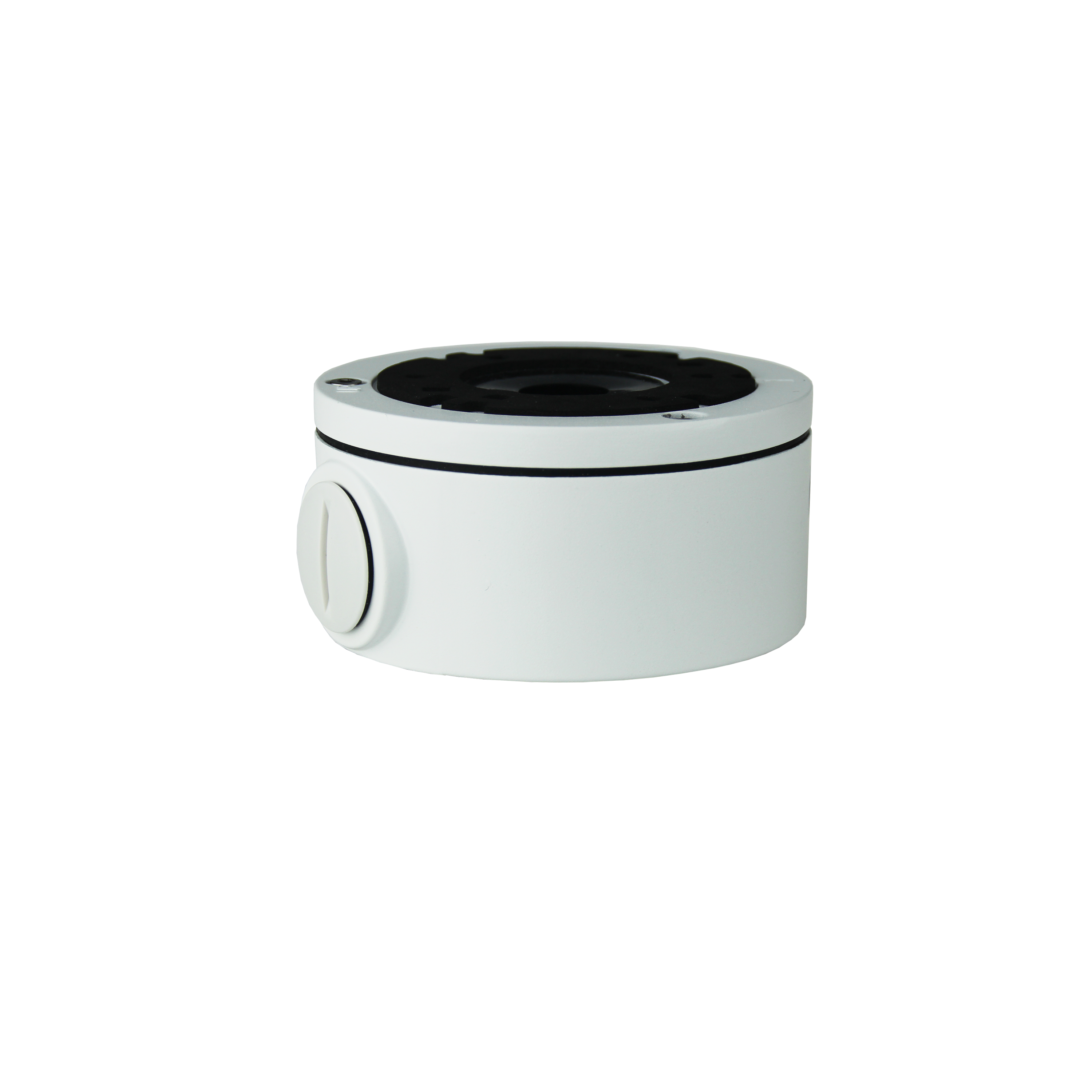 L-Series Camera Mounts - Nelly's Security